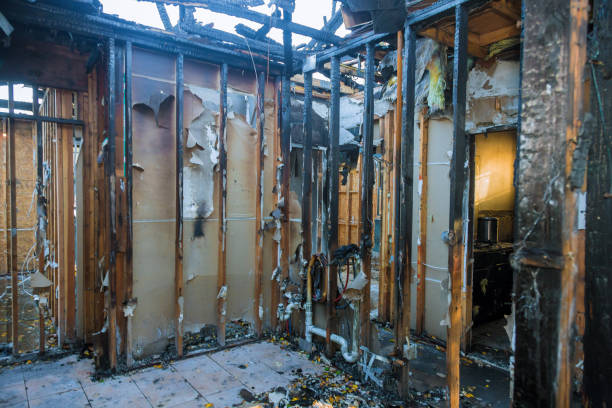 Professional Fire Damage Removal technician working in Leisure World, MD
